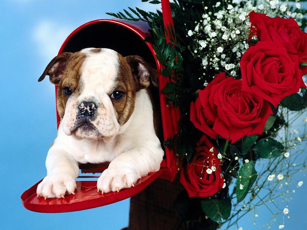 Special Delivery